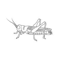 grasshopper icon design vector