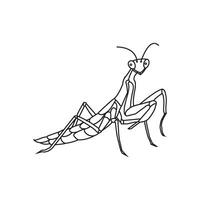 grasshopper icon design vector