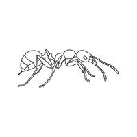 Ant icon design vector