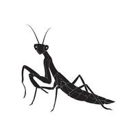 grasshopper icon design vector