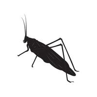 grasshopper icon design vector