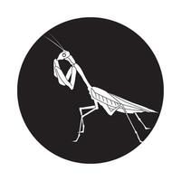 grasshopper icon design vector