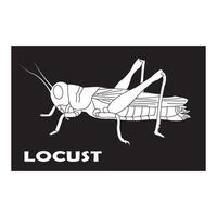 grasshopper icon design vector