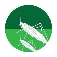 grasshopper icon design vector