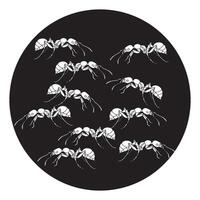 Ant icon design vector