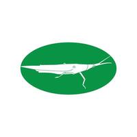 grasshopper icon design vector