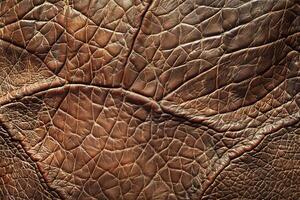 Beautiful texture surface leather for design natural abstract background photo