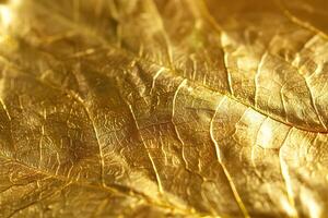 on theme of beautiful texture leaf from tree for design natural abstract background photo