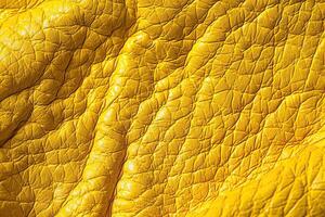 Beautiful texture surface leather for design natural abstract background photo