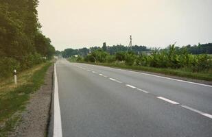 Empty asphalt road and floral field of different grass and flowers in evening time photo