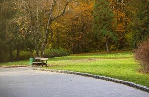 Beautiful Nature Autumn landscape. Scenery view on autumn city park with golden yellow foliage in cloudy day photo