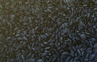A pattern of many unprocessed fried sunflower seeds in a black shell. photo