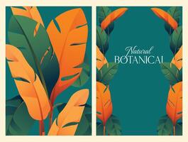 Tropical Heliconia Flower frame botanical background color design vector