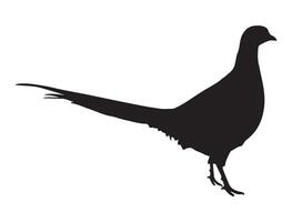Pheasant silhouette on white background vector