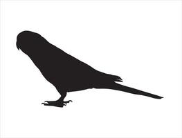 Parakeet silhouette on white background vector