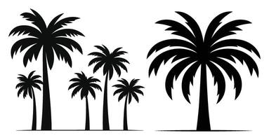 Set of Palm Tree silhouettes illustration Isolated on White Background vector