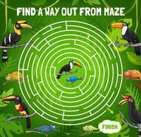 Labyrinth maze, find way out, toucan and chameleon vector