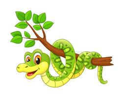 Cartoon cute funny python snake on jungle tree vector