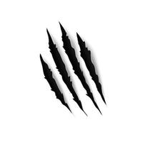 Tiger claw mark scratches and slash torn traces vector