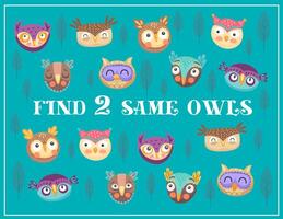 Find two same owls kids maze game, riddle vector