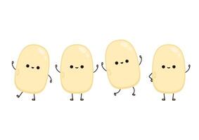 Soybean . Soybean character design. vector