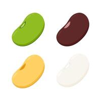 Mung bean, White kidney bean, Kidney bean and Soy bean on white background. vector