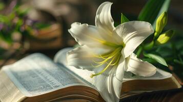 Blooming lily beside an open Bible, representing the themes of resurrection and new life photo