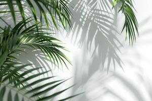 Lush palm fronds swaying gently on a transparent white backdrop, creating a tropical ambiance photo