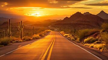 A desert road with cactus silhouetted against a sunset photo