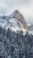 Towering peaks dusted with the first snow of winter photo
