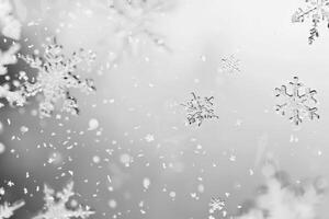 Delicate snowflakes falling against a soft transparent white backdrop, perfect for winter scenes photo