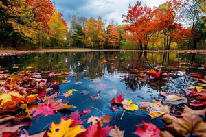 Tranquil pond surrounded by colorful autumn foliage and fallen leaves photo