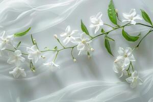 Whimsical jasmine flowers with elegant shapes on a transparent white surface, symbolizing purity and beauty photo