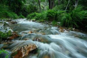 A tranquil river scene, with gentle rapids flowing over smooth rocks and lush greenery lining the banks photo