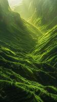 Verdant valleys bathed in sunlight photo