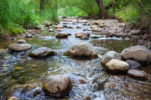 Babbling brook flowing over smooth river stones in a peaceful forest setting photo