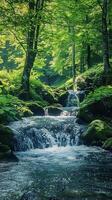 Blissful sounds of nature for peaceful meditation photo