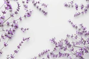 A close up of purple flowers with a white background. The flowers are arranged in a way that creates a sense of movement and flow. Scene is serene and calming photo
