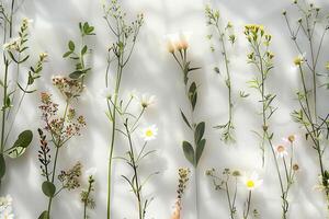 Botanical illustration of delicate flowers on a soft transparent white backdrop, perfect for natural-themed designs photo