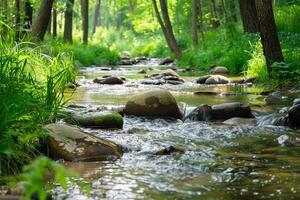 Babbling brook flowing over smooth river stones in a peaceful forest setting photo