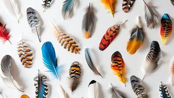 Boho-inspired feathers arranged in an enchanting pattern on a pristine white backdrop photo