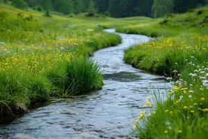 Clear water stream meandering through a tranquil meadow photo