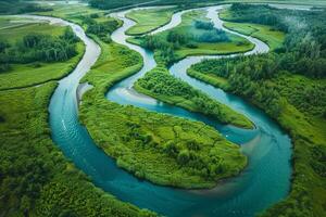 Aerial view of a meandering river through a pristine wilderness, emphasizing the importance of water conservation photo