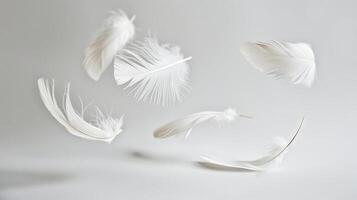 Boho chic feathers floating elegantly on a minimalist white surface photo