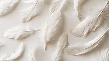Ethereal boho feathers floating delicately against a pristine white surface photo