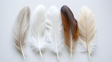 Boho-inspired feathers creating a serene and tranquil ambiance on white photo