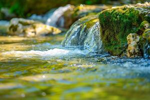 Crystal-clear water of a mountain stream flowing over mossy rocks photo