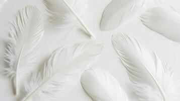 Boho-inspired feathers creating a serene and tranquil ambiance on white photo