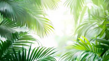 A lush green forest with a bright blue sky in the background. Concept of peace and tranquility, as well as the beauty of nature photo