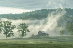 Rolling fog in a rural setting photo